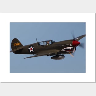 P-40 Warhawk Flying Tiger Posters and Art